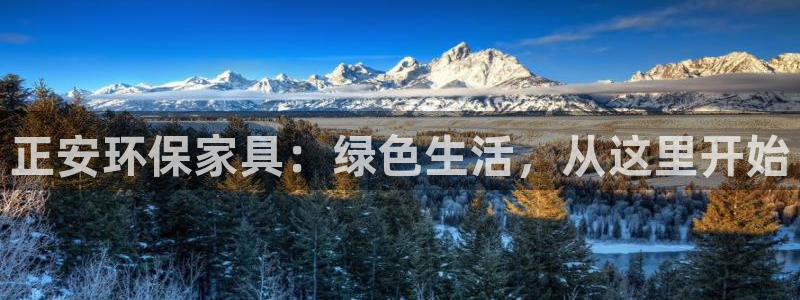 杏宇官网注册地址：正安环保家具：绿色生活，从这里开始