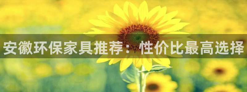 杏宇注册中心：安徽环保家具推荐：性价比最高选择