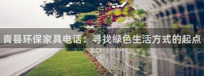 杏宇总代理