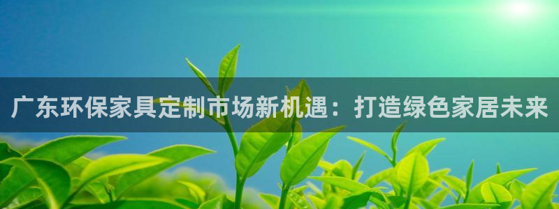 杏宇注册登录中心：广东环保家具定制市场新机遇：打造绿色家居未