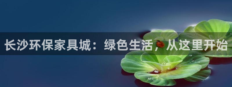 杏宇测速娱乐