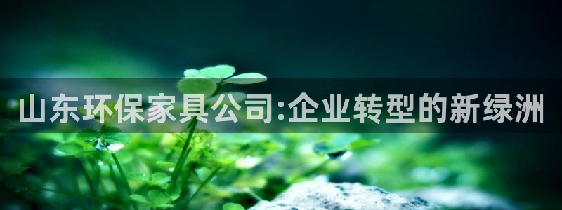 杏宇平台线路测速