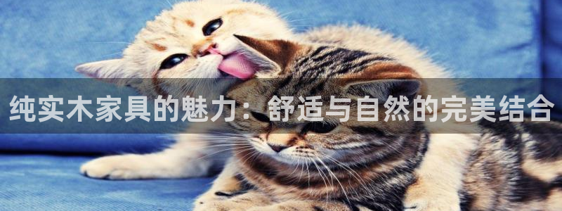 杏宇注册网址：纯实木家具的魅力：舒适与自然的完美结合