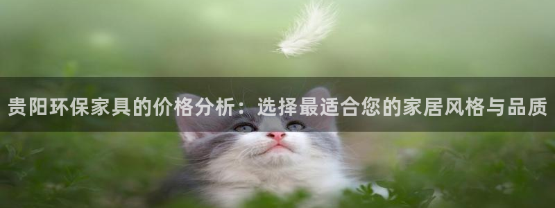 杏宇平台代理怎么赚钱快