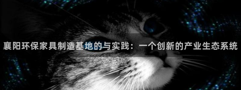 杏宇平台登录：襄阳环保家具制造基地的与实践：一个创新的产业生