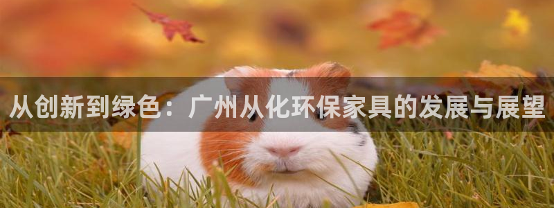 杏宇平台登陆官网