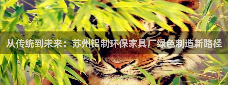 杏宇3注册：从传统到未来：苏州铝制环保家具厂绿色制造新路径