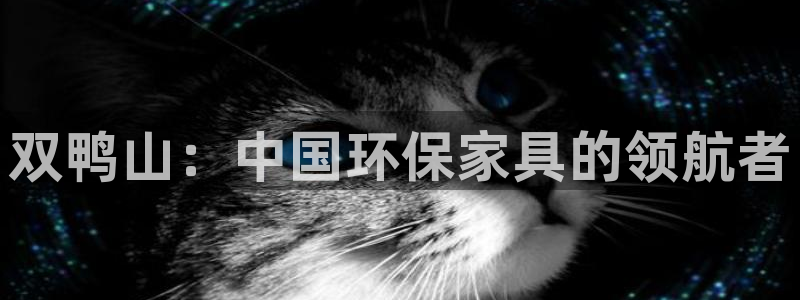 杏宇平台怎样：双鸭山：中国环保家具的领航者