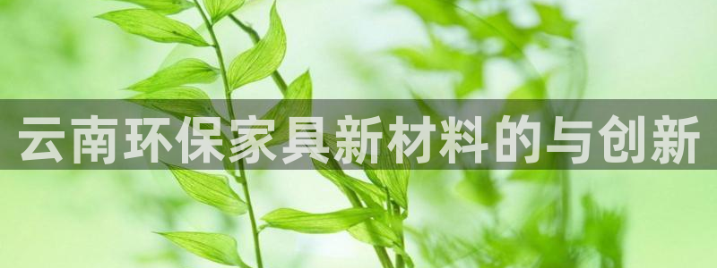 杏宇注册链接：云南环保家具新材料的与创新