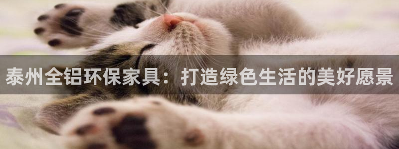 杏宇平台代理注册多少钱：泰州全铝环保家具：打造绿色生活的美好