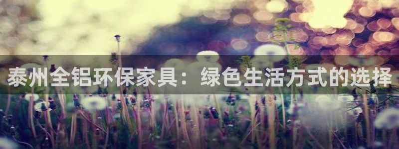 杏宇登陆线路：泰州全铝环保家具：绿色生活方式的选择