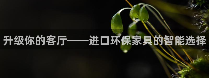 杏宇平台已7O777