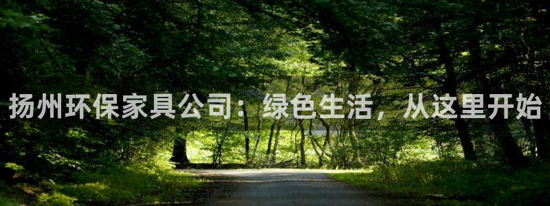 杏宇平台注册：扬州环保家具公司：绿色生活，从这里开始
