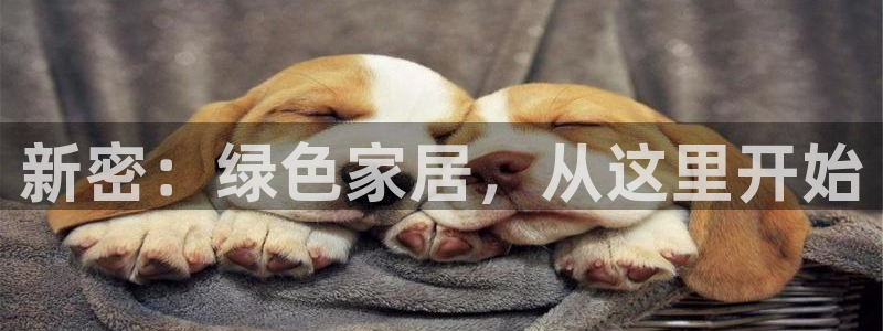 杏宇注册登入：新密：绿色家居，从这里开始