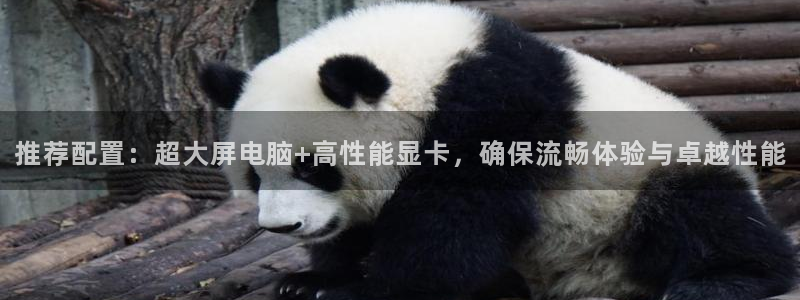 零点直播吧看球吧：推荐配置：超大屏电脑+高性能显卡，确保流畅体验与卓越性能