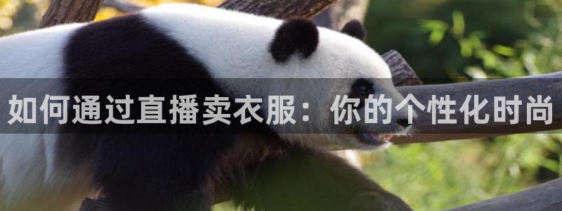 看球吧直播 在线观看nba：如何通过直播卖衣服：你的个性化时尚