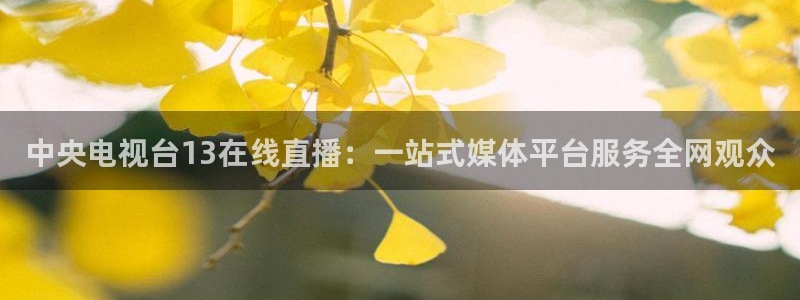 看球吧足球直播：中央电视台13在线直播：一站式媒体平台服务全网观众