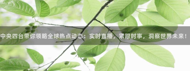 看球吧直播nba直播：中央四台带你领略全球热点动态：实时直播，紧跟时事，洞察世界未来！