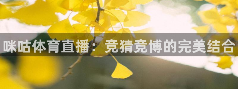 nba直播 看球吧：咪咕体育直播：竞猜竞博的完美结合
