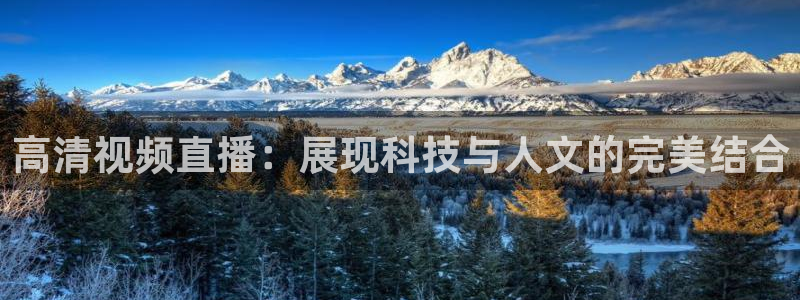 nba无插件直播看球吧：高清视频直播：展现科技与人文的完美结合