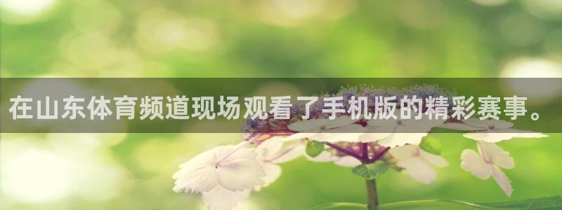 看球吧jrs直播免费直播平台：在山东体育频道现场观看了手机版的精彩赛事。