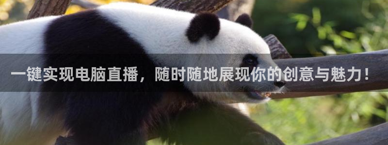 体育直播看球吧：一键实现电脑直播，随时随地展现你的创意与魅力！