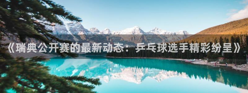 看球吧nba免费直播：《瑞典公开赛的最新动态：乒乓球选手精彩纷呈》