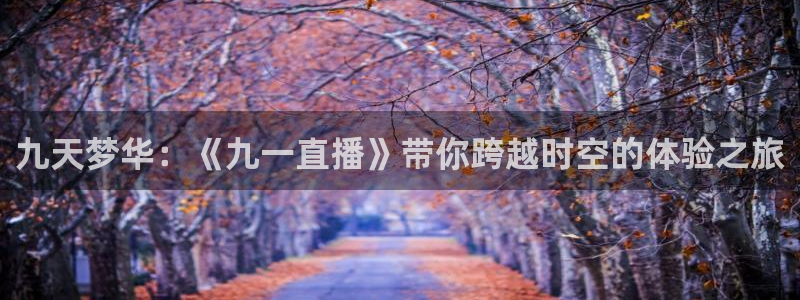 直播看球吧：九天梦华：《九一直播》带你跨越时空的体验之旅