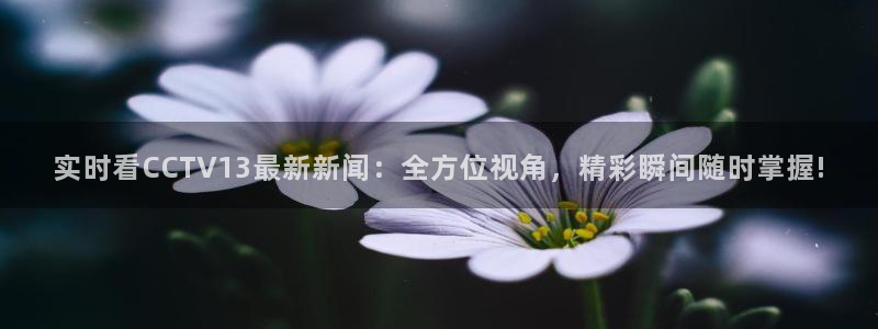 看球吧jrs低调直播：实时看CCTV13最新新闻：全方位视角，精彩瞬间随时掌握!