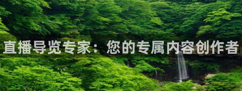 零点直播吧看球吧：直播导览专家：您的专属内容创作者