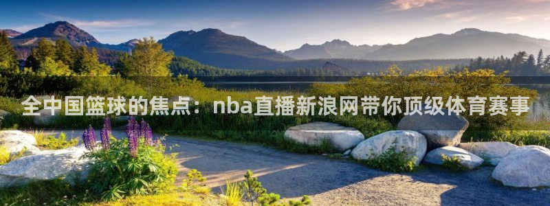 nba直播看球吧：全中国篮球的焦点：nba直播新浪网带你顶级体育赛事