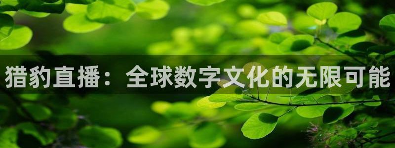 看球吧体育直播：猎豹直播：全球数字文化的无限可能