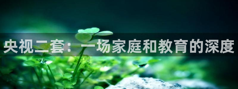 看球吧体育直播：央视二套：一场家庭和教育的深度