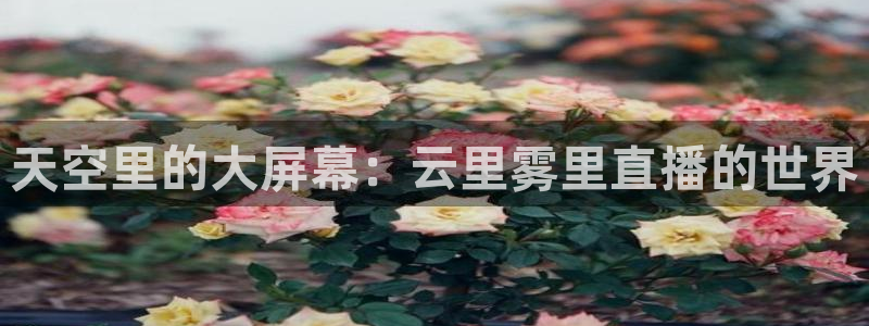 看球吧直播在线入口：天空里的大屏幕：云里雾里直播的世界