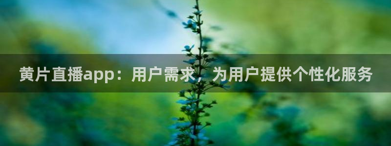 看球吧体育直播app：黄片直播app：用户需求，为用户提供个性化服务